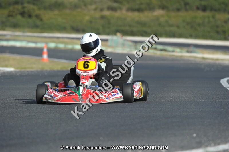 DSC (4032).JPG